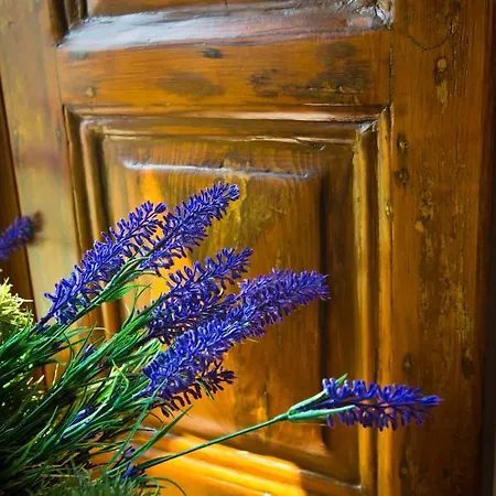 Villa R&g Luxury Kilimli