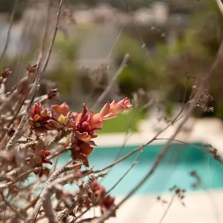 R&g Luxury ヴィラ Kálymnos